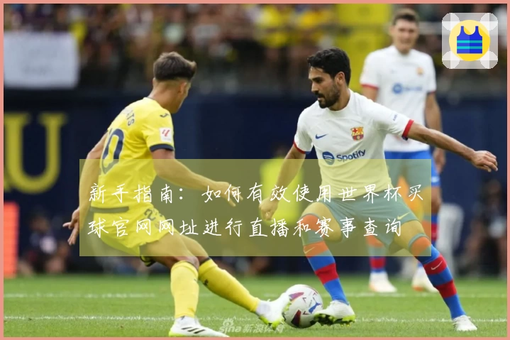 新手指南：如何有效使用世界杯买球官网网址进行直播和赛事查询