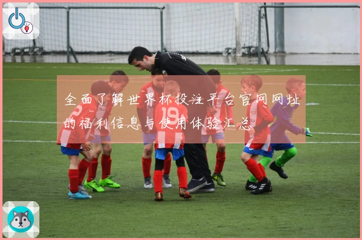 全面了解世界杯投注平台官网网址的福利信息与使用体验汇总