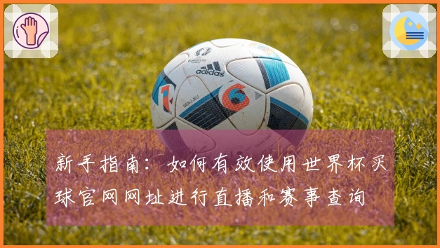 新手指南：如何有效使用世界杯买球官网网址进行直播和赛事查询